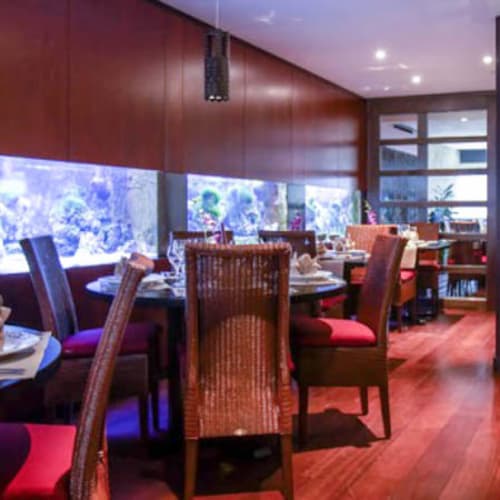 Narai Thai, Brugge