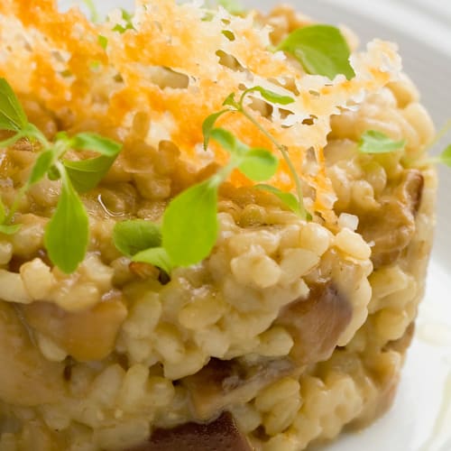 El Olivar, Moratalla