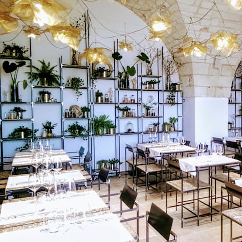 Dish, Ostuni