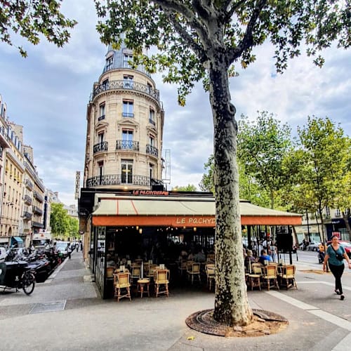 Le pachyderme, Paris