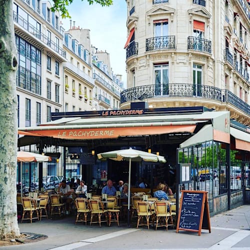 Le pachyderme, Paris