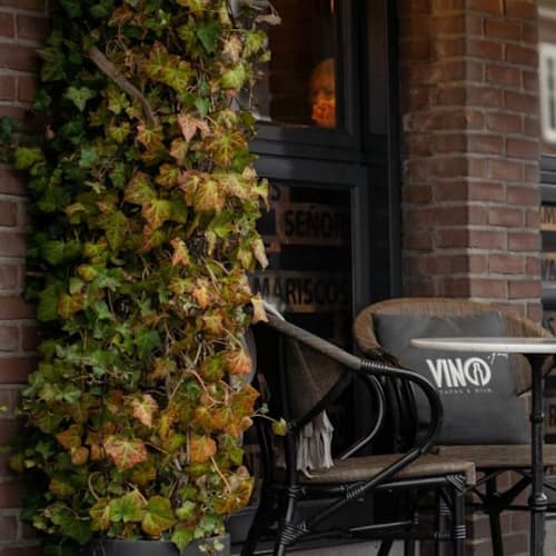 Vino Y Mas, Rhenen