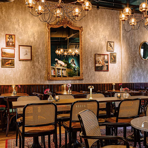 The Fat Fox, Rotterdam