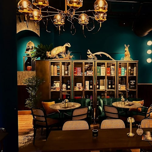 The Fat Fox, Rotterdam