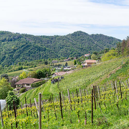 Polisena L'altro Agriturismo Veg, Pontida
