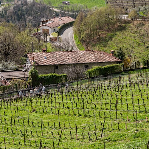 Polisena L'altro Agriturismo Veg, Pontida