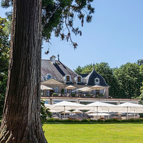 La Terrasse du Parc - Restaurant Hôtel du Parc des Eaux-Vives , Genève