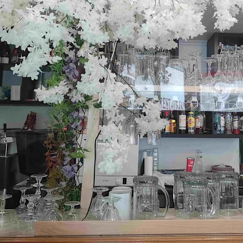 TRiSHuL Café Restaurant Indien, Lausanne