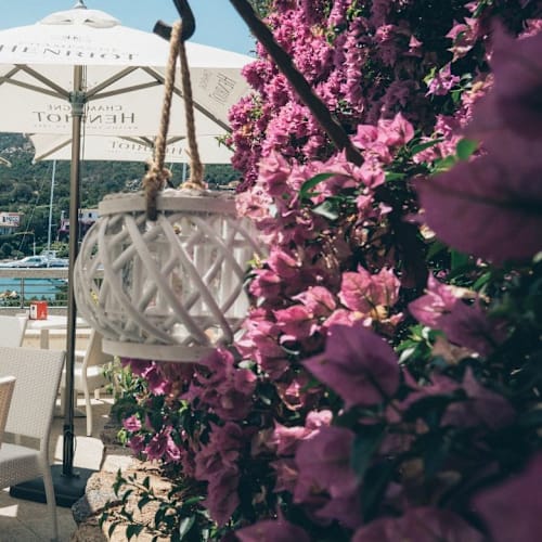 In Vino Veritas - Porto Cervo, Porto Cervo
