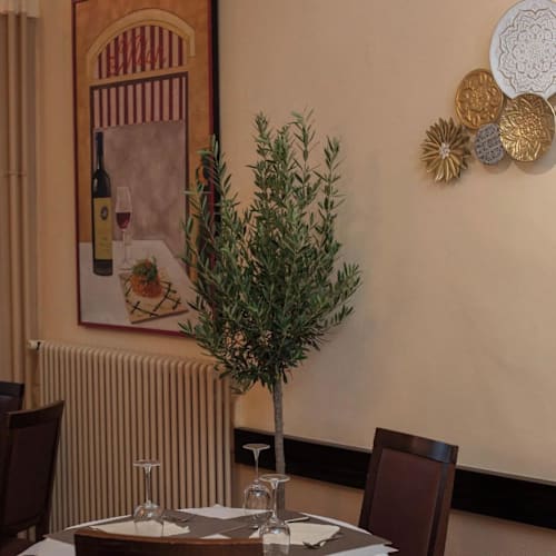 Marina Mezze, Genève