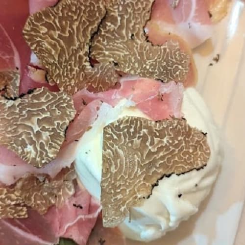 Beccafico , Firenze