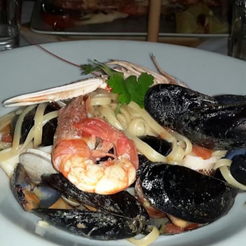 Vela Azzurra, Bologna