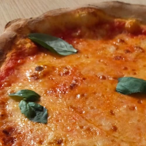 Vela Azzurra, Bologna