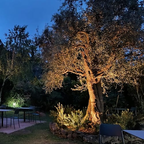 Il baccatoio, Pietrasanta