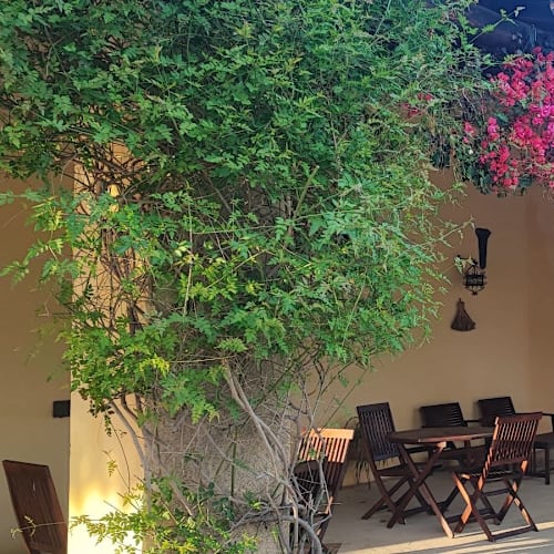 Baglio Vecchio - Ristorante Agriturismo, Castelvetrano