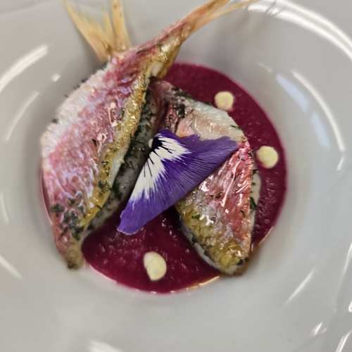 Sabya by Valentino, Grottammare