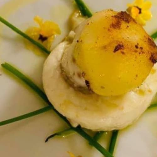 La Balena Bianca, Vallecrosia