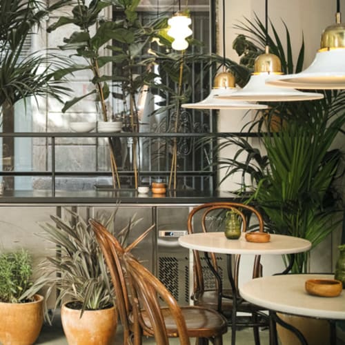 Bistrot Levante, Barcelona