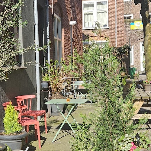 Petit Paradis, Den Haag