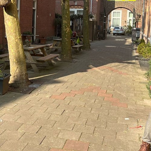 Petit Paradis, Den Haag