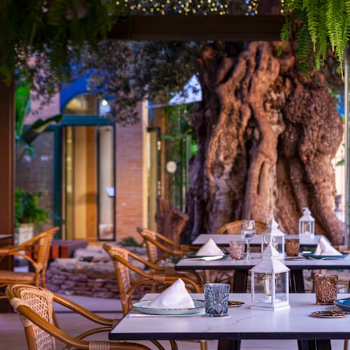 Botánico Restaurante, Ciudad Quesada