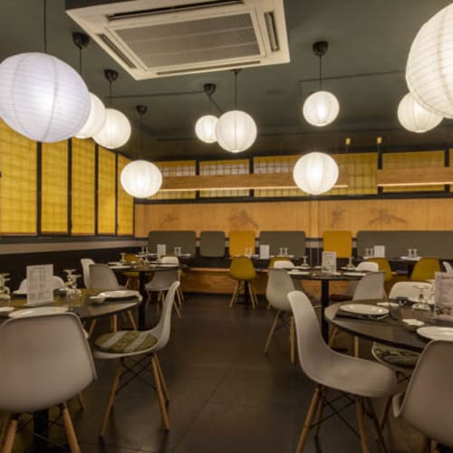 Royal Thai Camelie, Roma