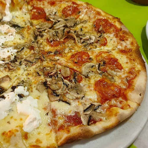 Kentonhill exotics, Padova