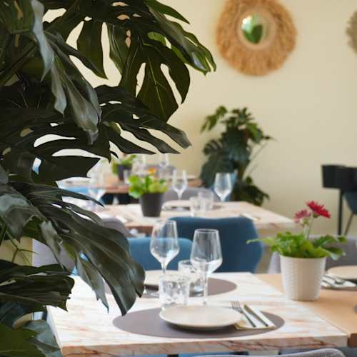 Chispas, Boadilla del Monte