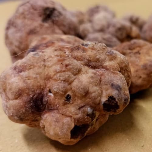 La Fascina, Camaiore