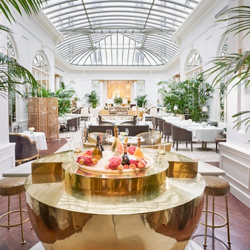 Palm Court, Madrid