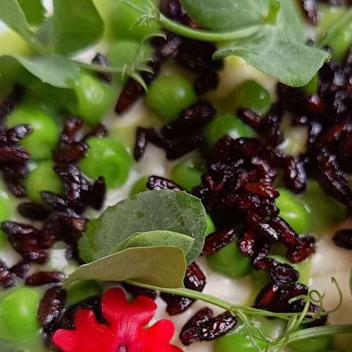 San Giorgio Café, Venezia