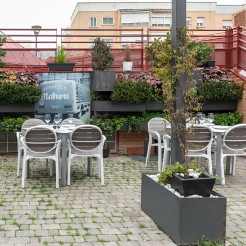 Verde Oliva Gastroteca, Majadahonda