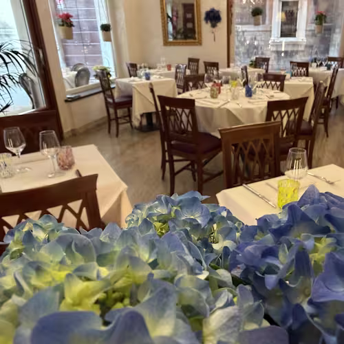 La Colombina, Venezia