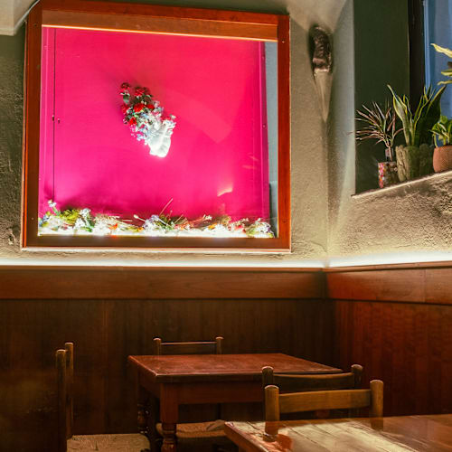 Xola Bar, Sestri Levante