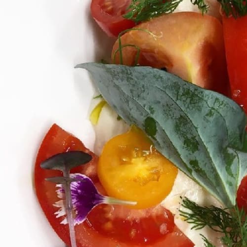 Classico Maglie- Solo Ristorante, Maglie