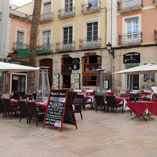 Rosa, Alicante (Alacant)