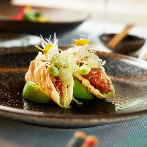 Otori Omakase, Voorschoten