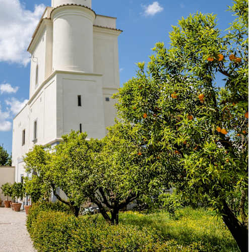 Delizie Reali Giardino Torre, Napoli