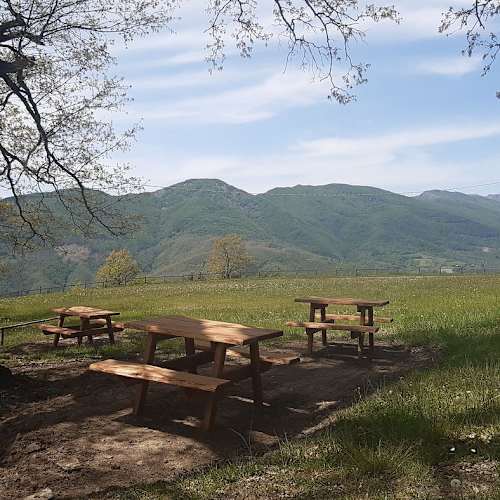 Fattoria Bonaria Montaglioni, Spignana 