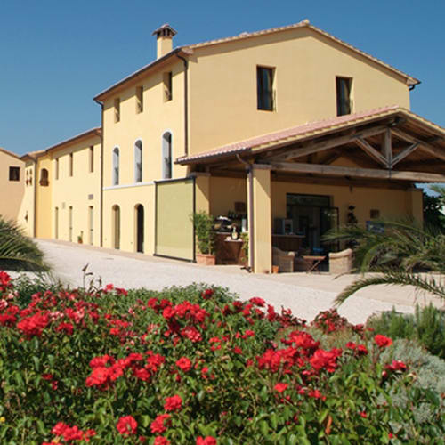 L'Olivo, Castagneto Carducci