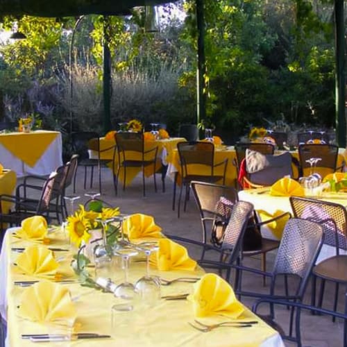 L'Olivo, Castagneto Carducci