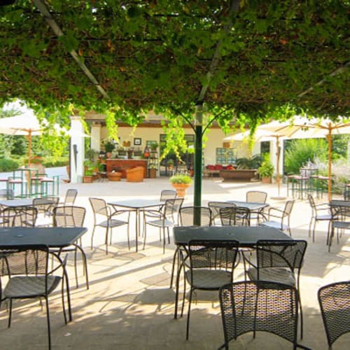 L'Olivo, Castagneto Carducci