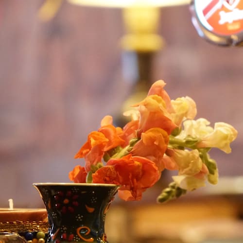 Laziz Restaurant & Bar, Breda