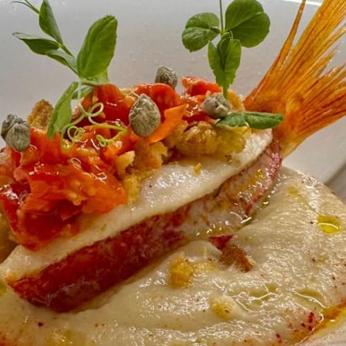 Joey Bistrot Cafè, Maglie