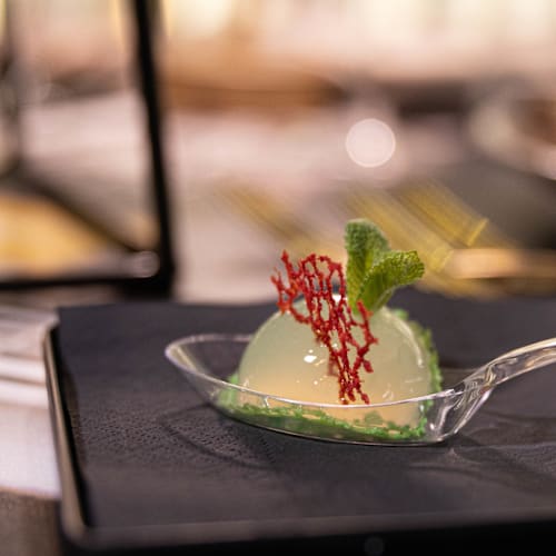 Joey Bistrot Cafè, Maglie