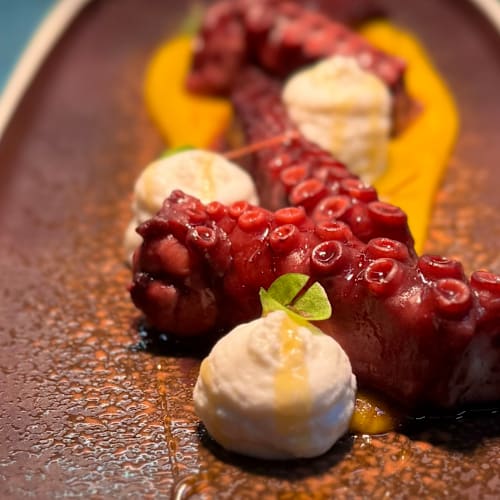 Joey Bistrot Cafè, Maglie