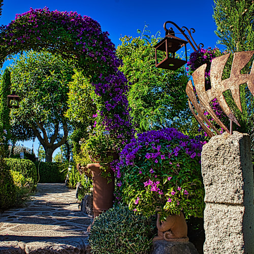 Daní Maison, Ischia