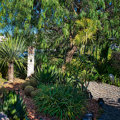 Daní Maison, Ischia
