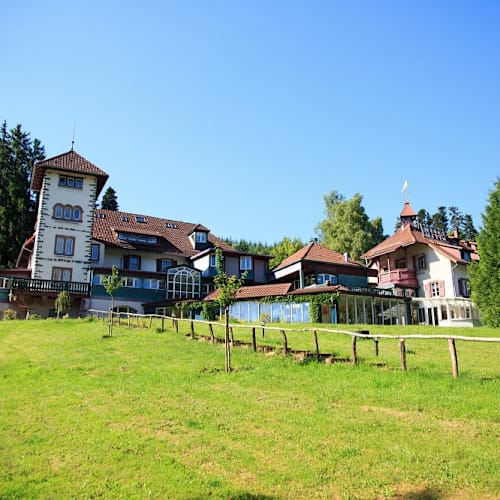 L'Ermitage, Le Hohwald