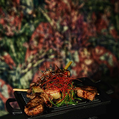Nola Asian Cuisine, Weesp